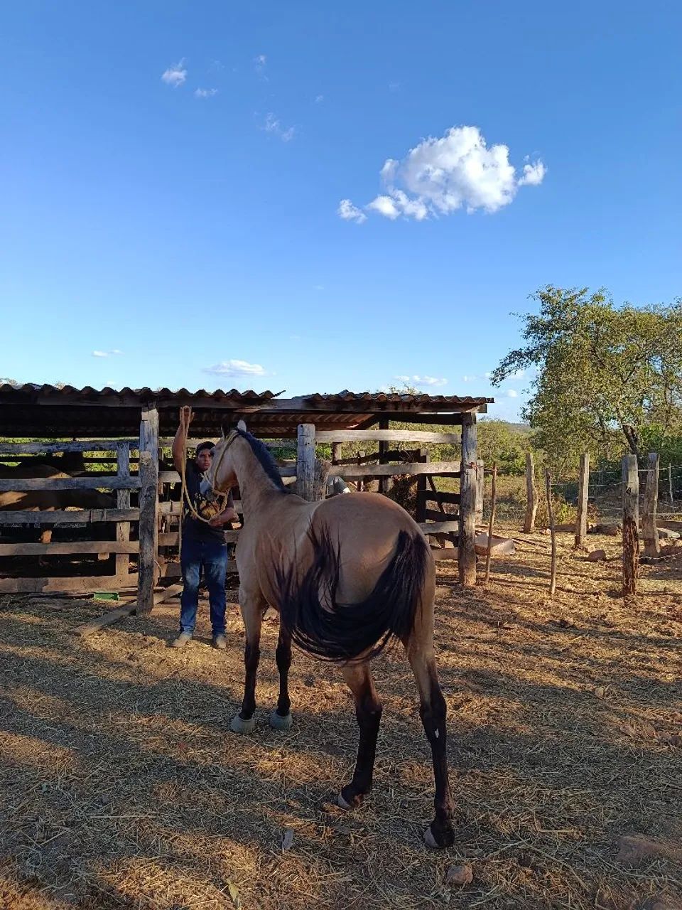 vendo ou troco - Foto 5