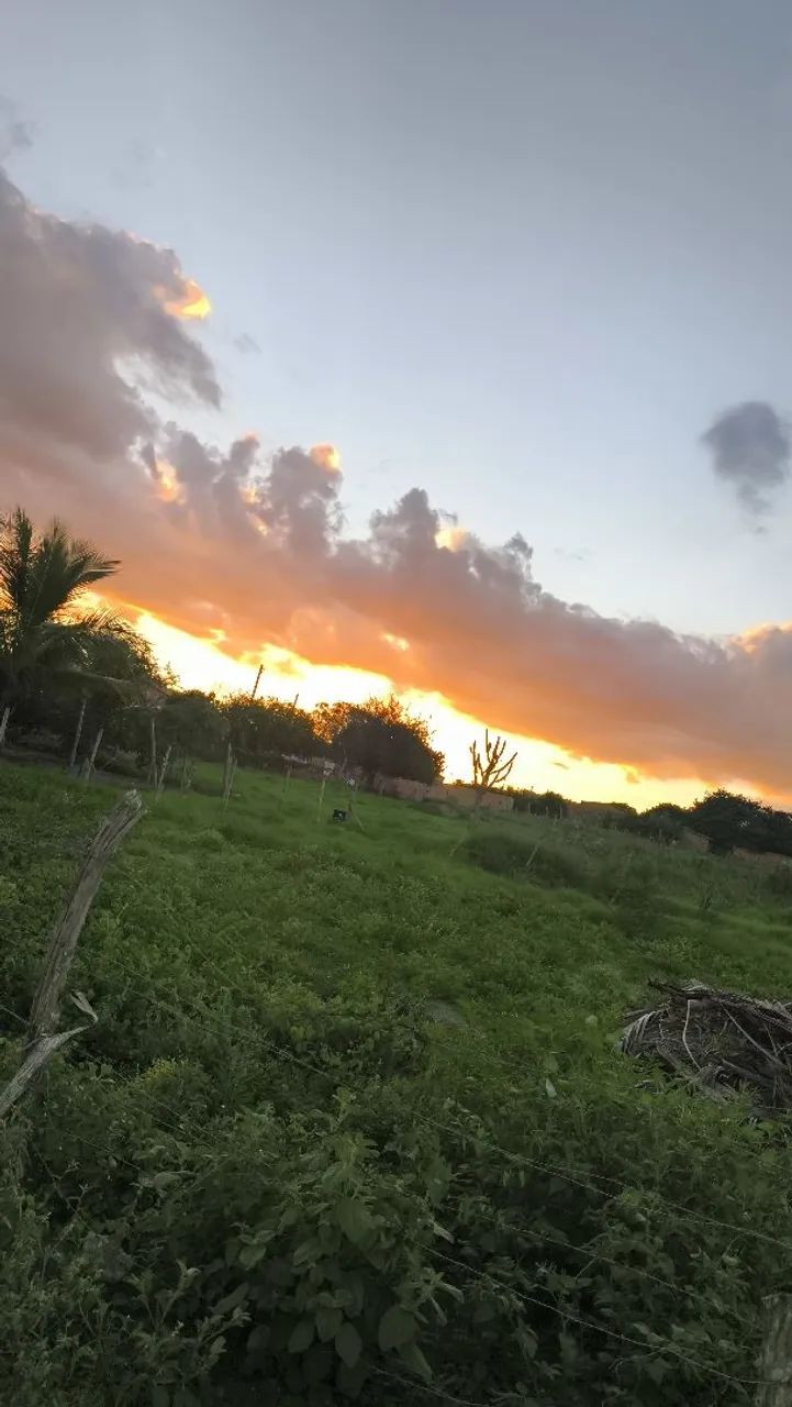 São José  - Foto 3
