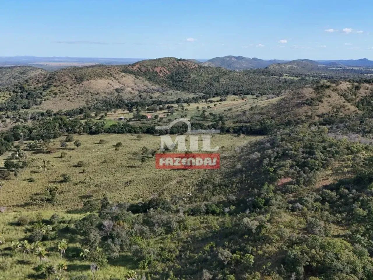 Fazenda 56 Alqueires (271 Hectares) Gurupi - To - Foto 5