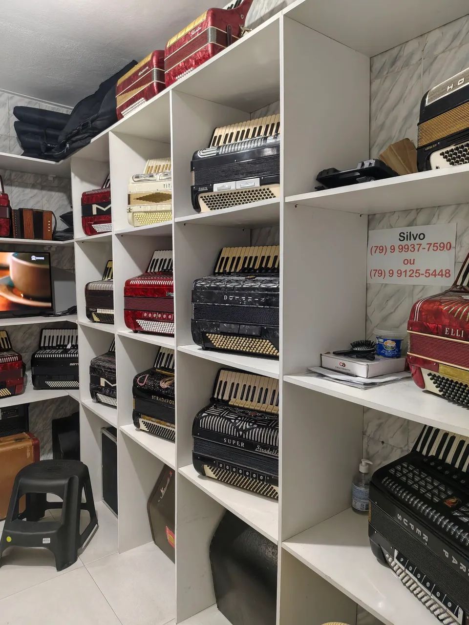 Silvio  acordeon avendas