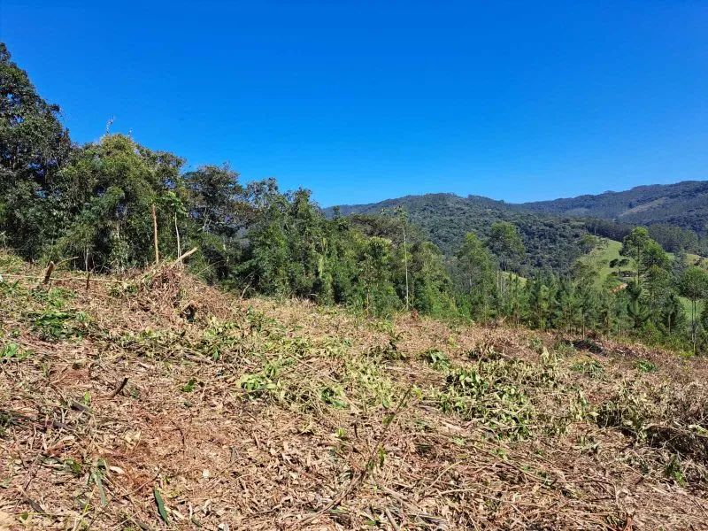 Terreno BENEDITO NOVO - SC - Foto 5