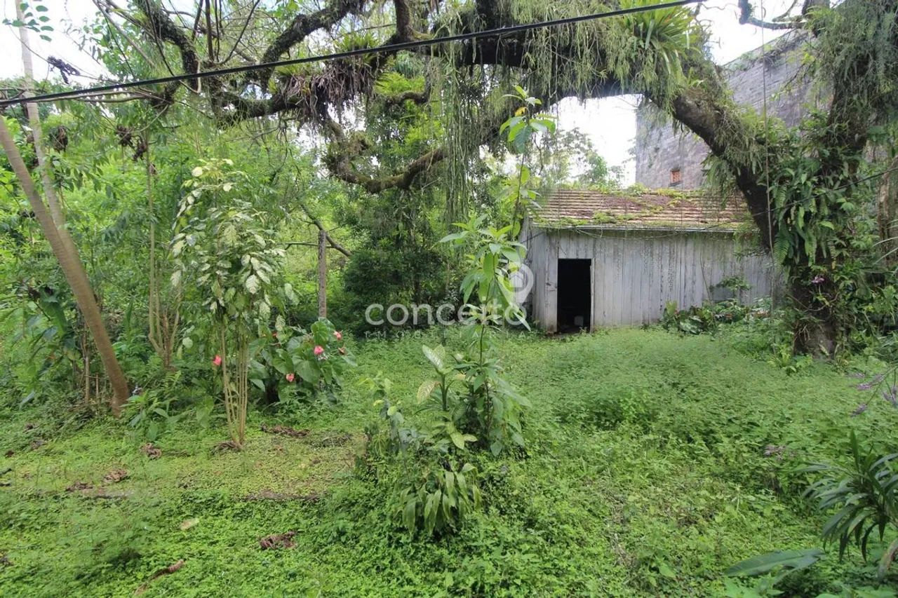 Terreno Próximo a Vila Germânica com 7.400 m²! - Foto 5