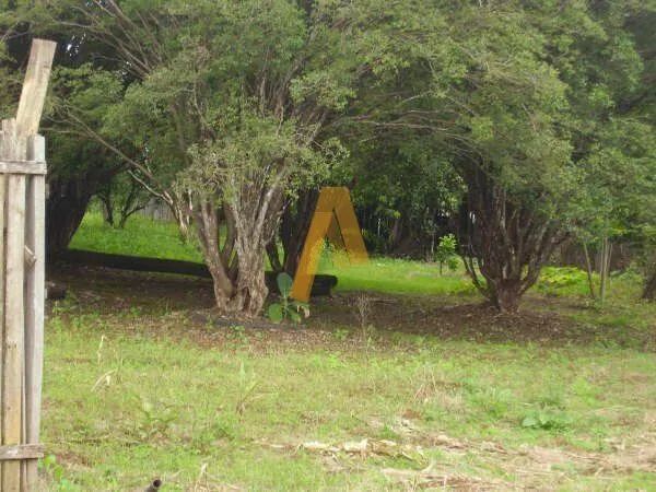 Chácara a Venda em Batatais - Foto 5