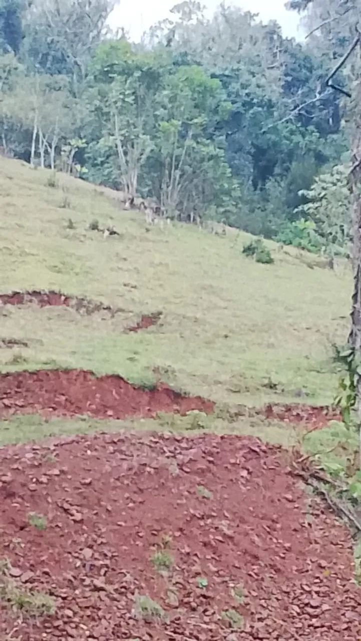 Terra a venda - Foto 4