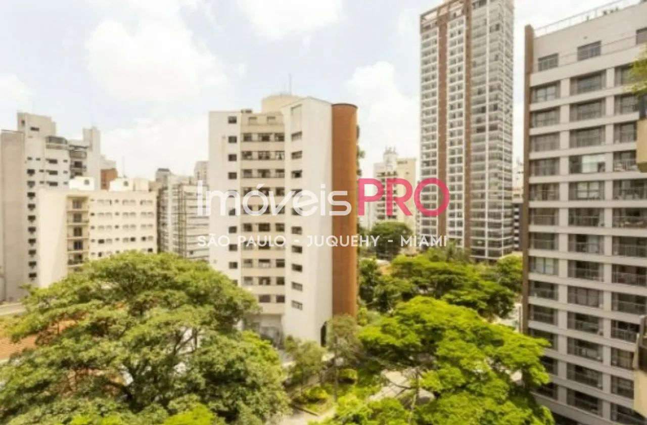 Moema pássaros - Foto 2