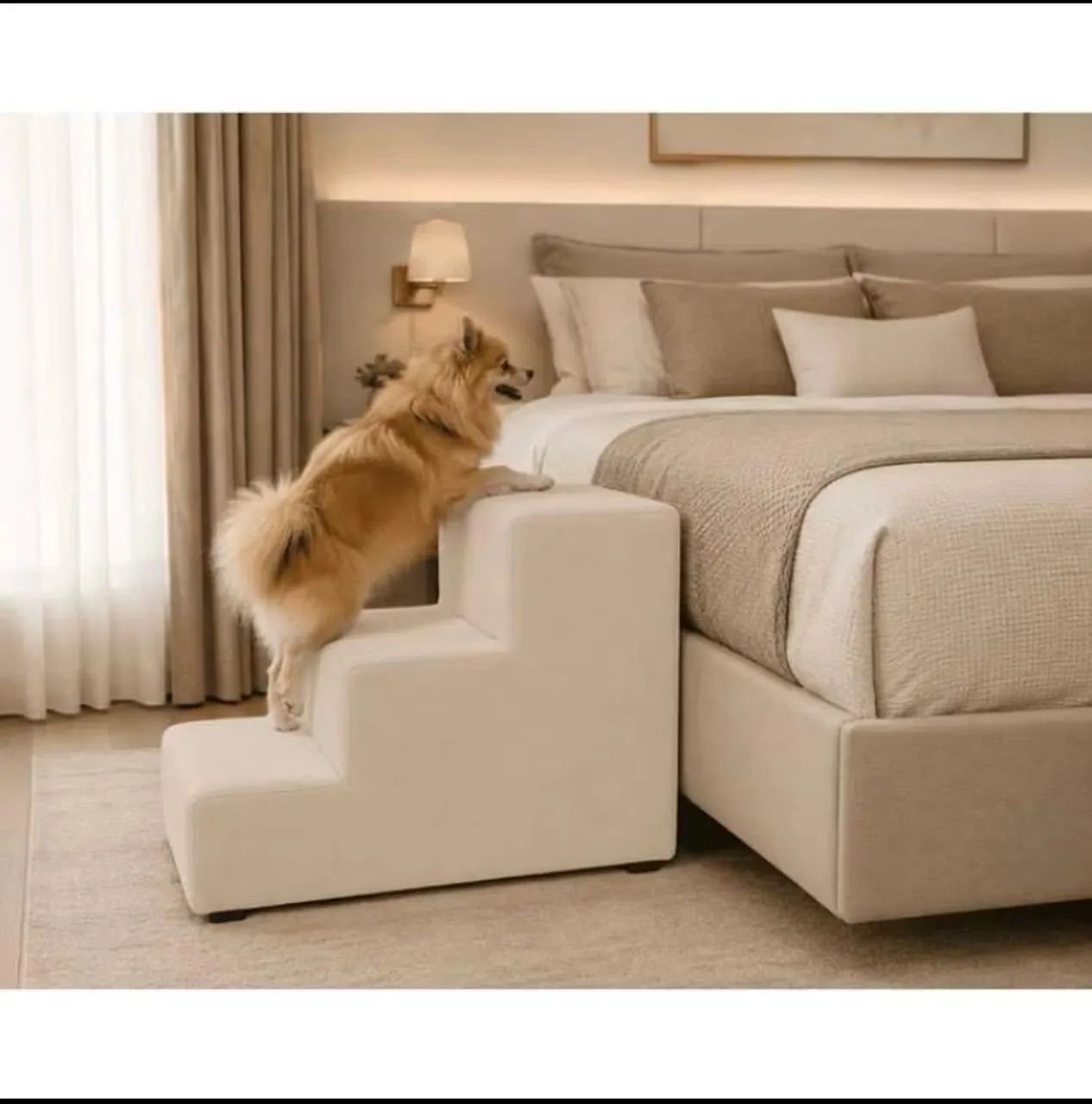 Escada para pet  - Foto 4