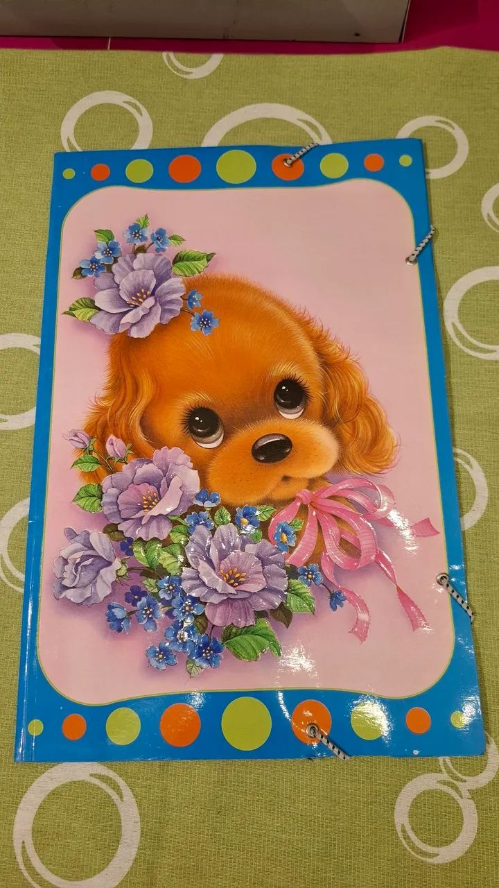 Papelaria Antiga .pastas de Papelaria  - Foto 4