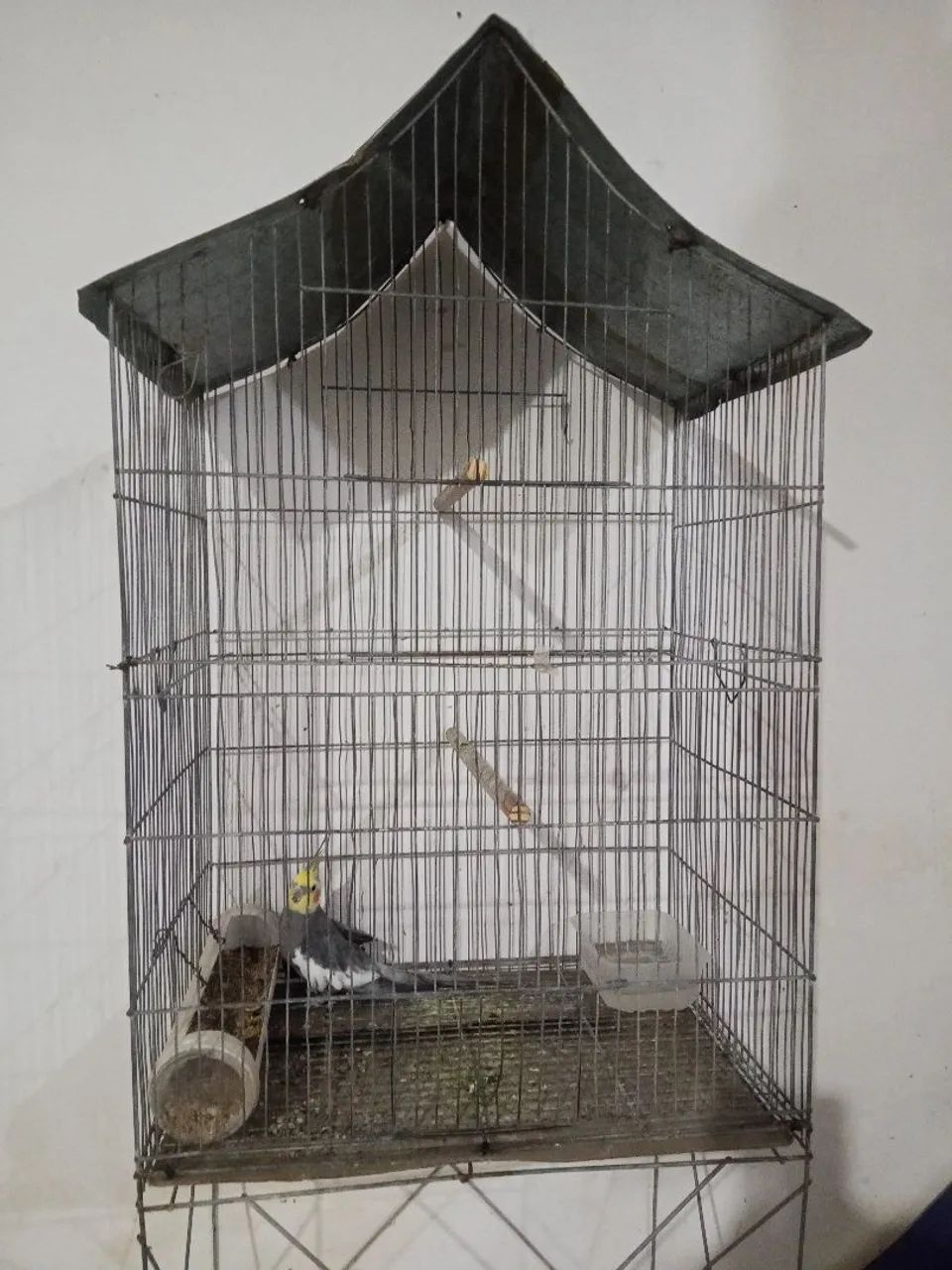 Gaiola 