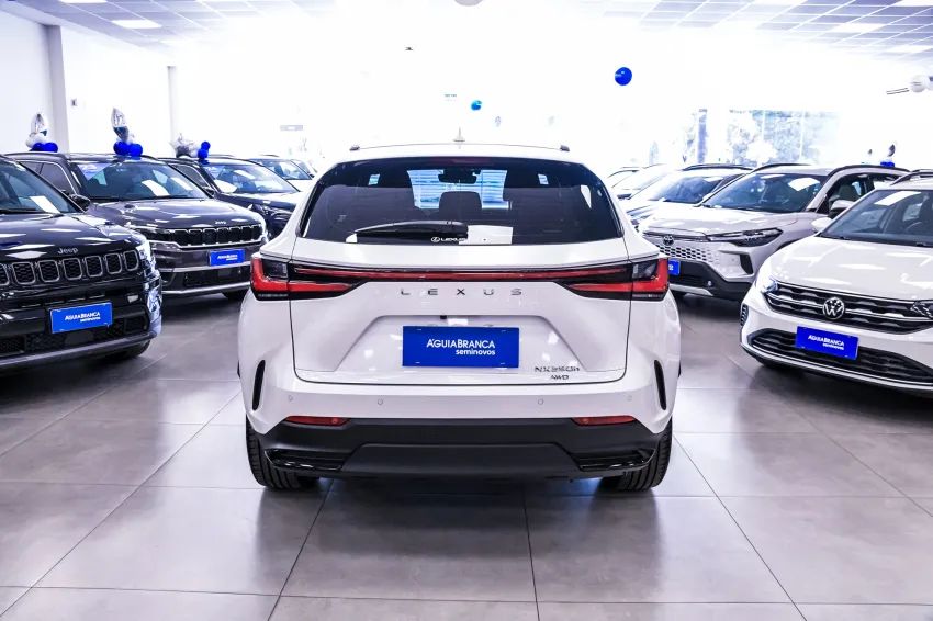Lexus NX-350h Luxury 2.5 16V Aut. (hybrid), foto 8 de 19