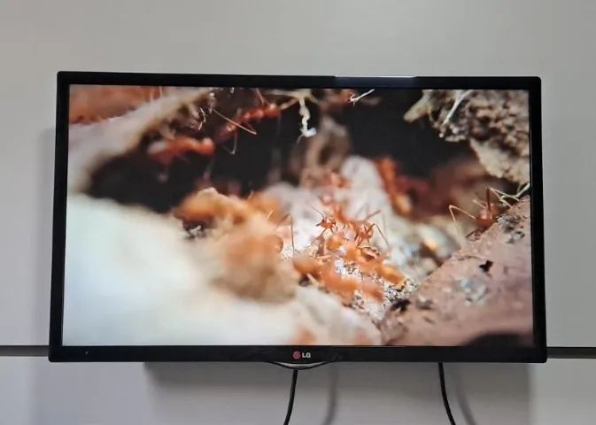 TV LG Smart 32" HD - Funcionando Perfeitamente - R$ 500