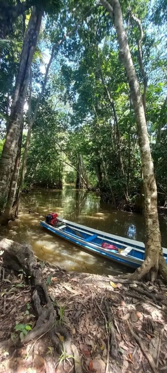 Sítio na ilha de trambioca Em Barcarena 