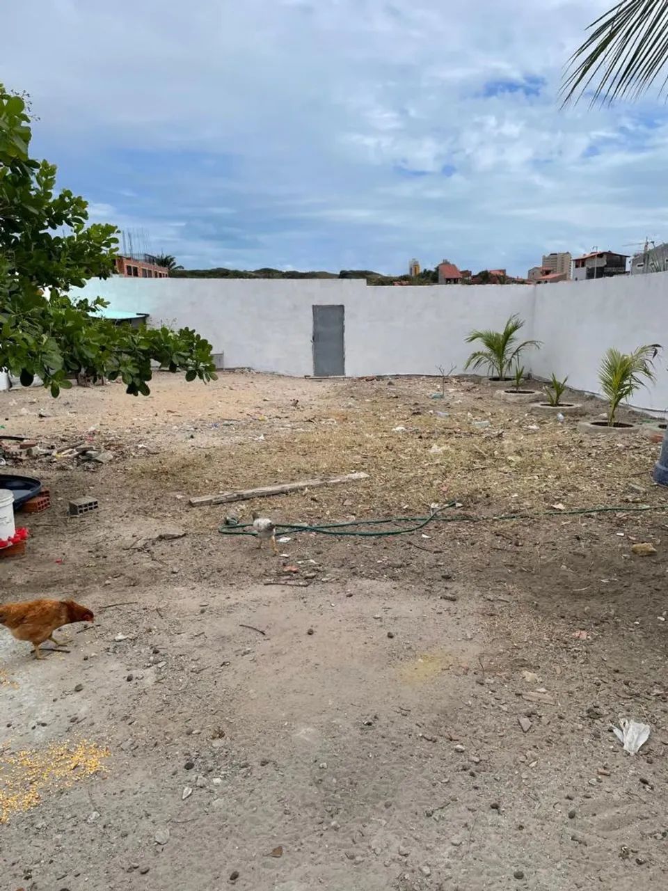 Px ao comércios 