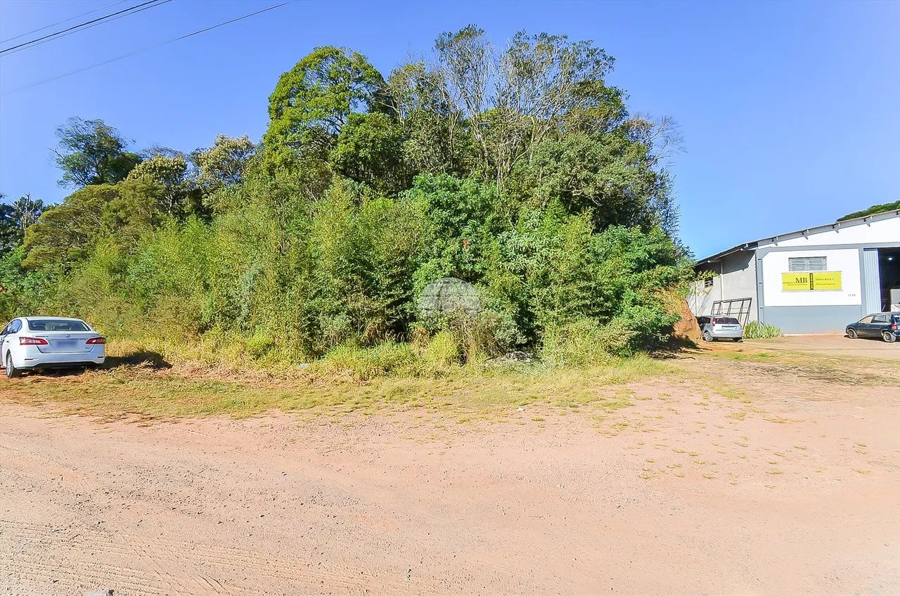 Vendas Terreno Mandirituba PR - Foto 3