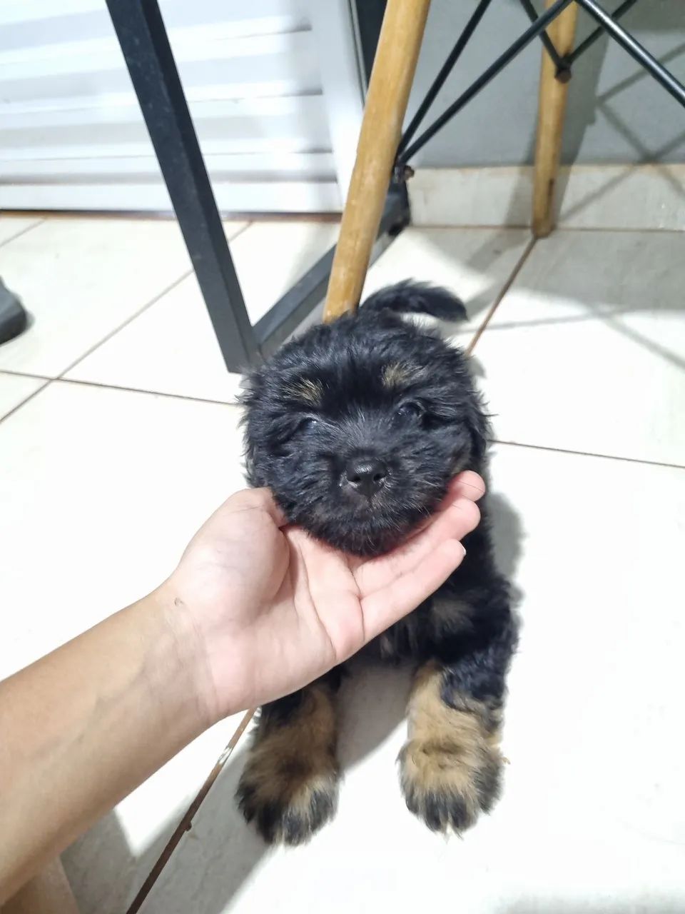 Doaçao