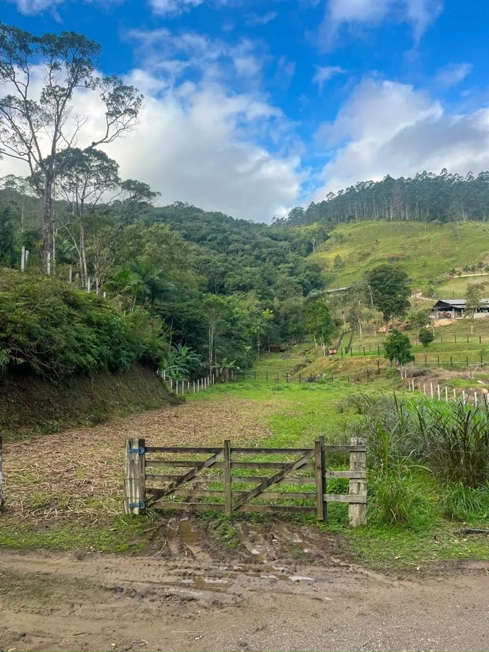 Terreno para Chácara  Três Riachos