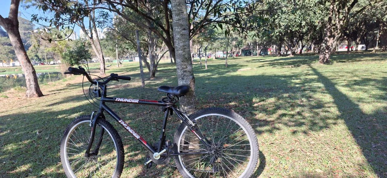 BIKE THUNDER - ARO 26 - Foto 5