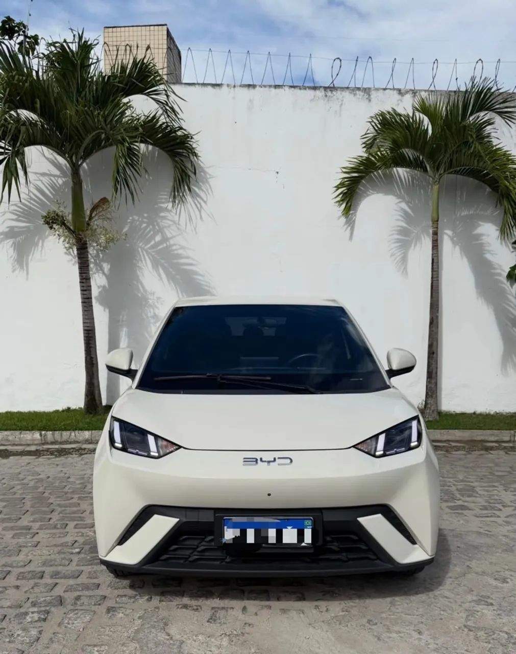 BYD Dolphin Dolphin Mini (Elétrico) 2025