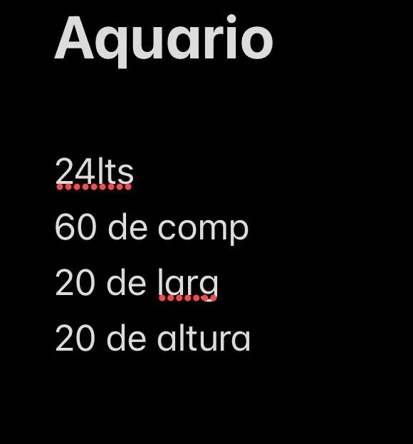 Aquario  - Foto 6