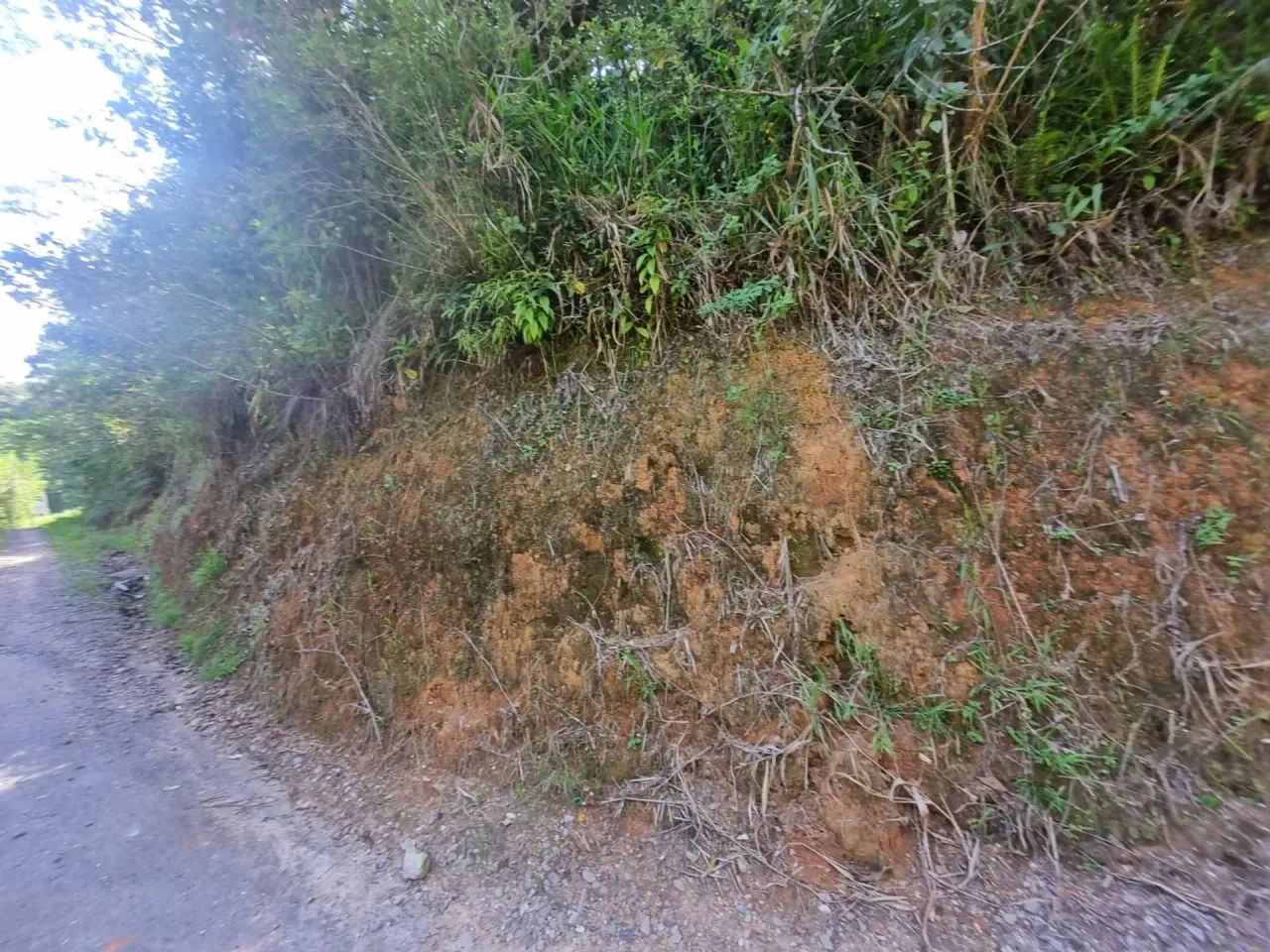 Terreno urbano - Bateas - Brusque/SC - Foto 4