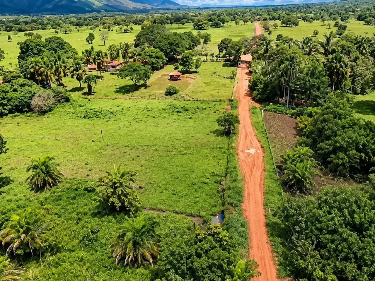Fazenda a venda em Palmas - Tocantins!!! - Foto 3
