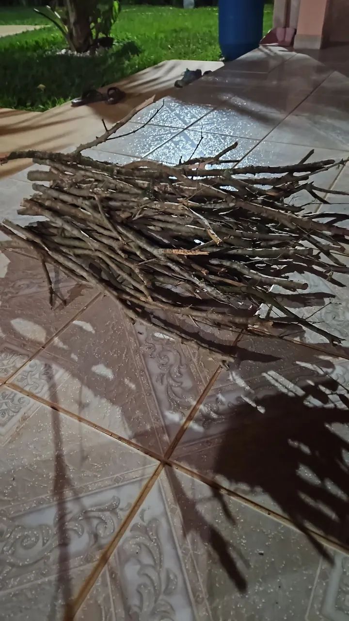 Poleiros Naturais  - Foto 5