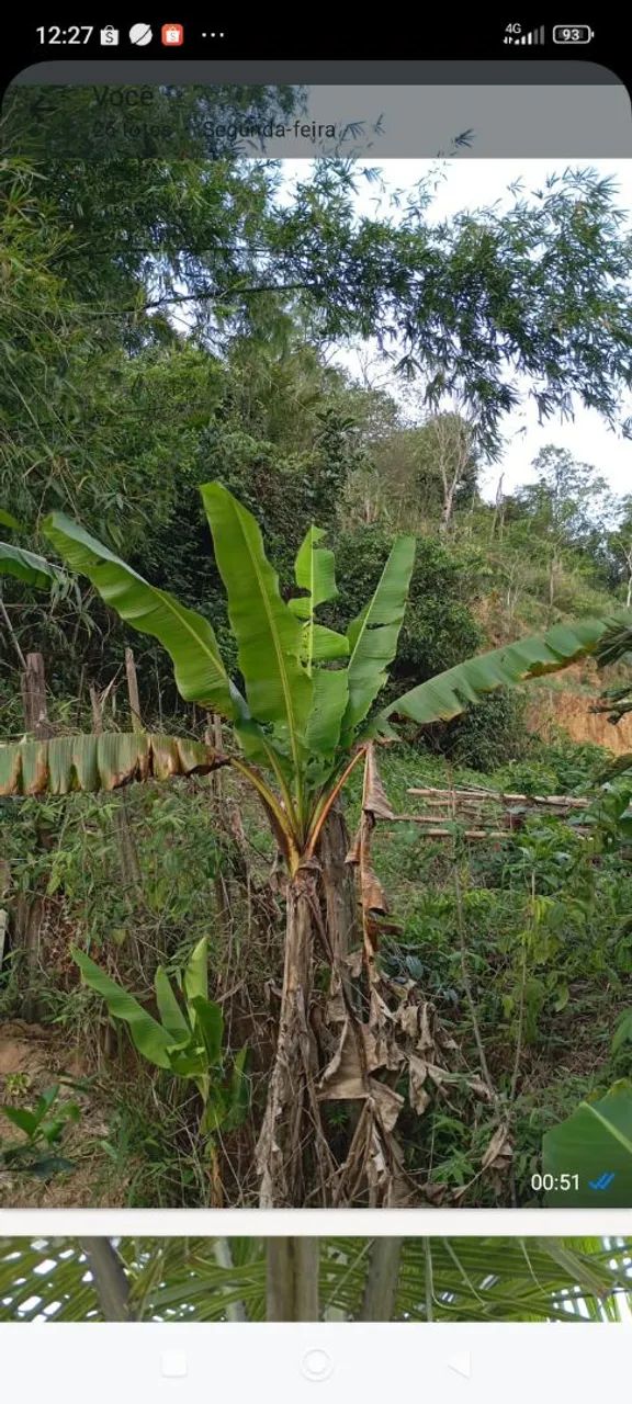 VENDO UMA PEQUENA CASA NO BAIRRO GENESIANO - Foto 12