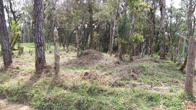 Terreno 1800 quadrados 20 dd frente por 90 de fundo