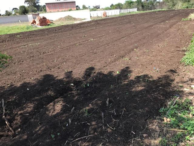 Terreno - Foto 5