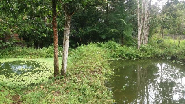 Sitio com Criação de Peixes - Foto 15
