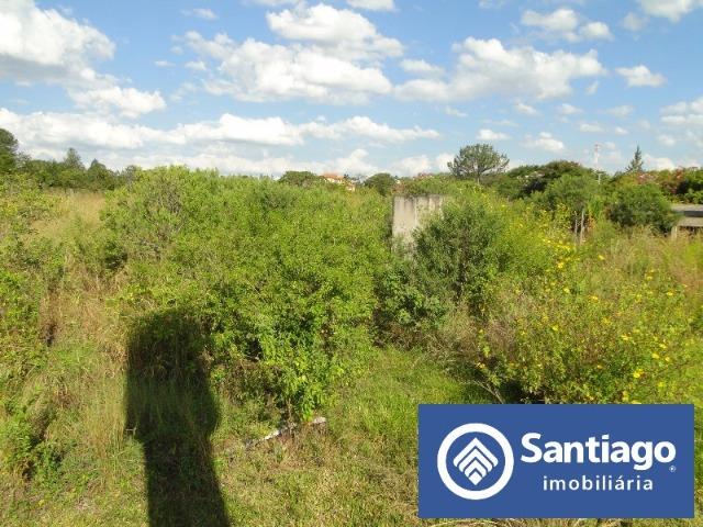 Park Way Quadra 23 Lote inteiro com 20.000m² Terreno - Foto 6
