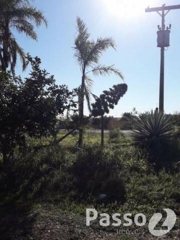 Terreno Comercial na BR 163 - Saída para Caarapó - Foto 9