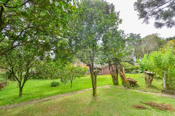 Chácara à venda em Xaxim, Curitiba cod:148509 - Foto 4