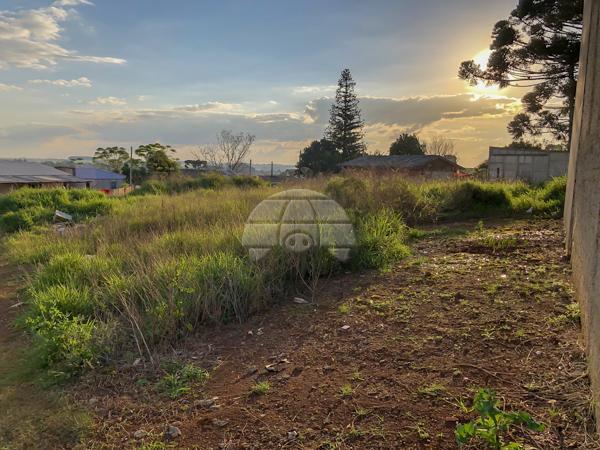 Terreno à venda em Batel, Guarapuava cod:142216 - Foto 8