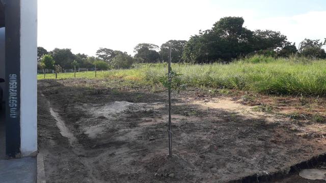 Terreno paineiras ii - 5.5 x 27 mts - Foto 6