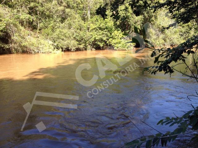 Fazenda de 10 alqueires para pecuária na região de Caldas Novas GO - Foto 5