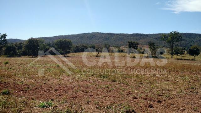 Fazenda de 10 alqueires para pecuária na região de Caldas Novas GO - Foto 8