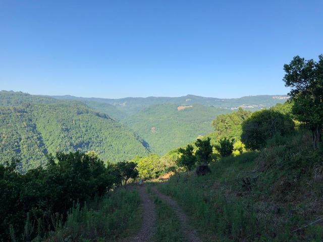 Área com vista espetacular em Gramado/RS!