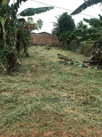 Terreno no bairro Chico Mendes Negociável