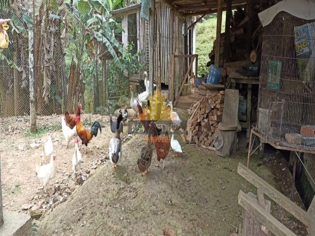 Sítio Escriturado no Rio Bonito - Foto 4