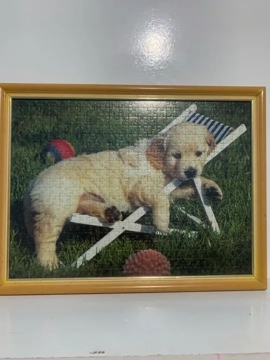 Lindo quadro cachorro golden quebra cabeça cão canino pet - Foto 3