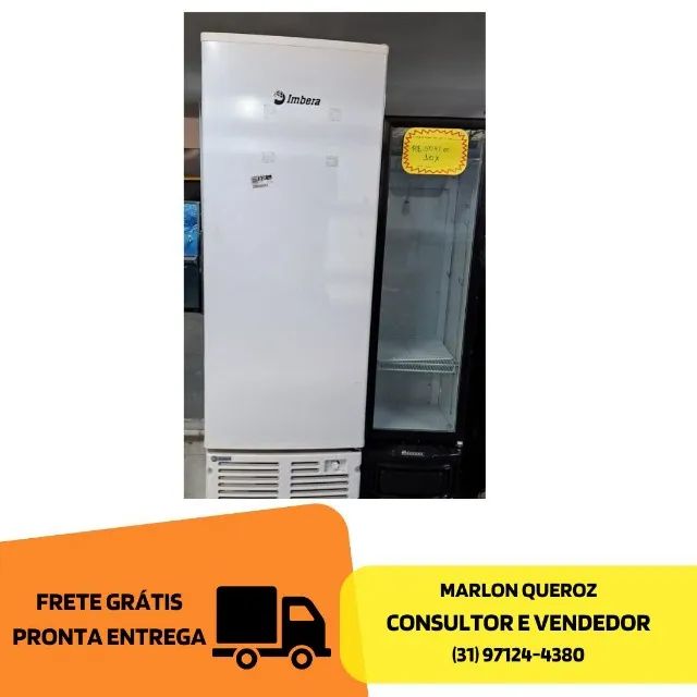 Freezer Congelador Vertical Novo Porta Cega