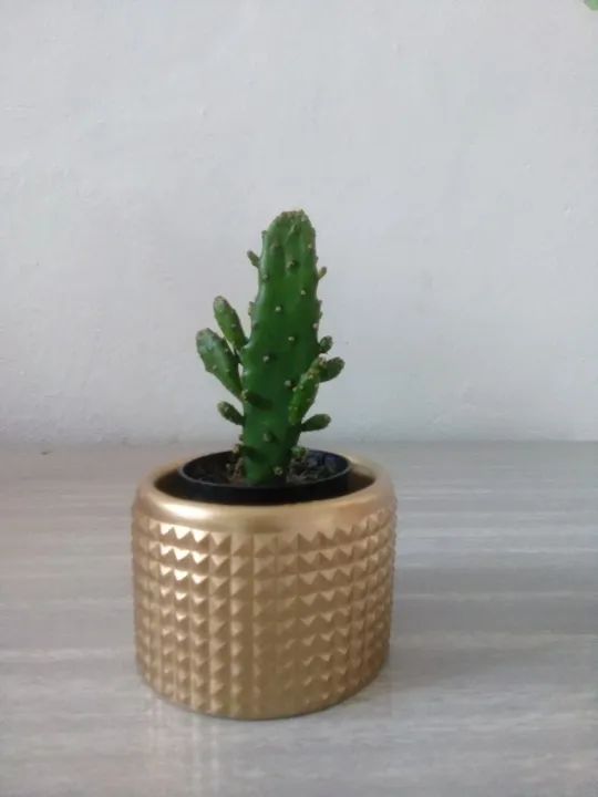 Vaso cachepot para decoração e plantas - Foto 6