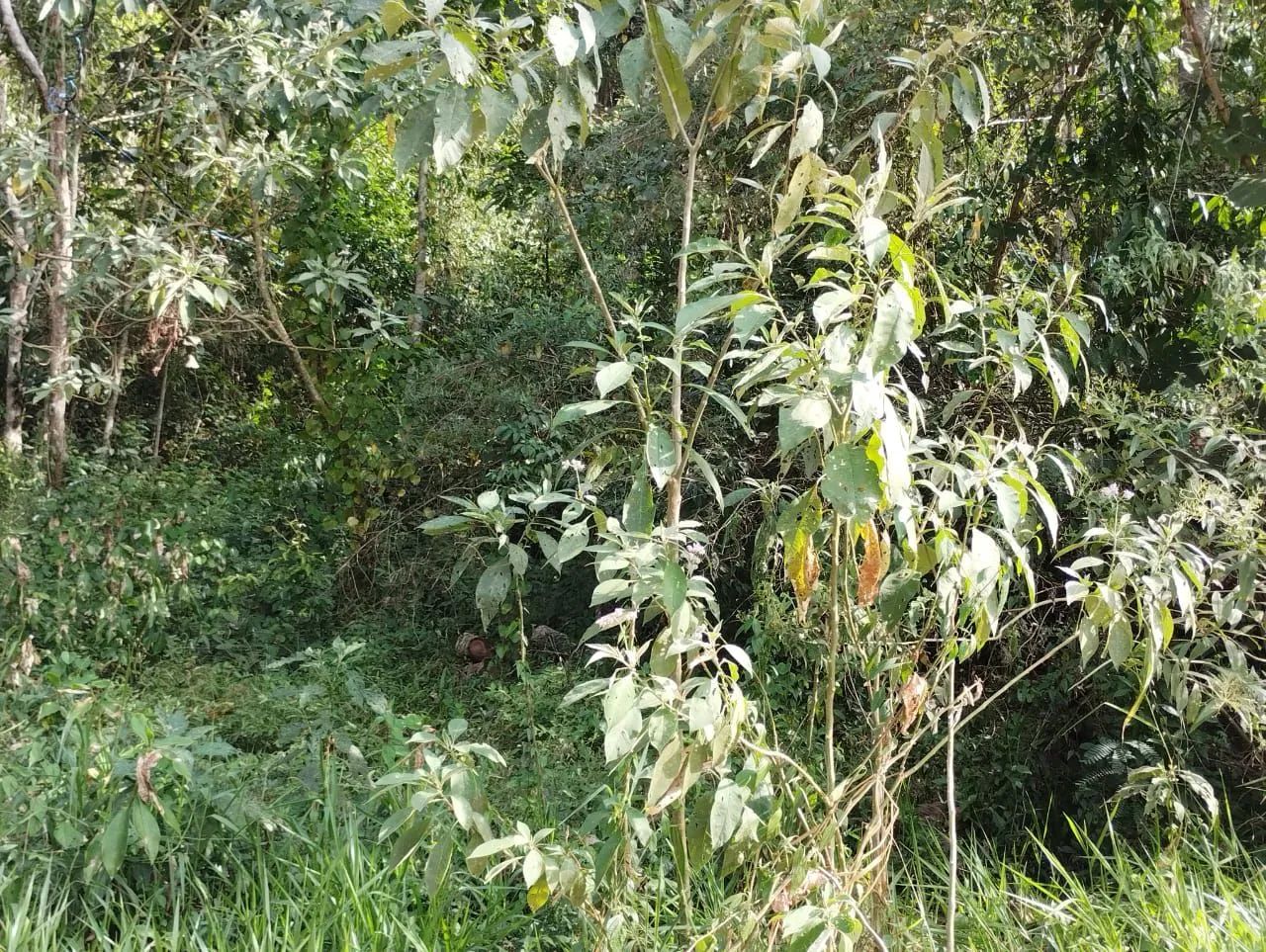 3 mil mts pe na agua na mais linda represa da região  - Foto 2
