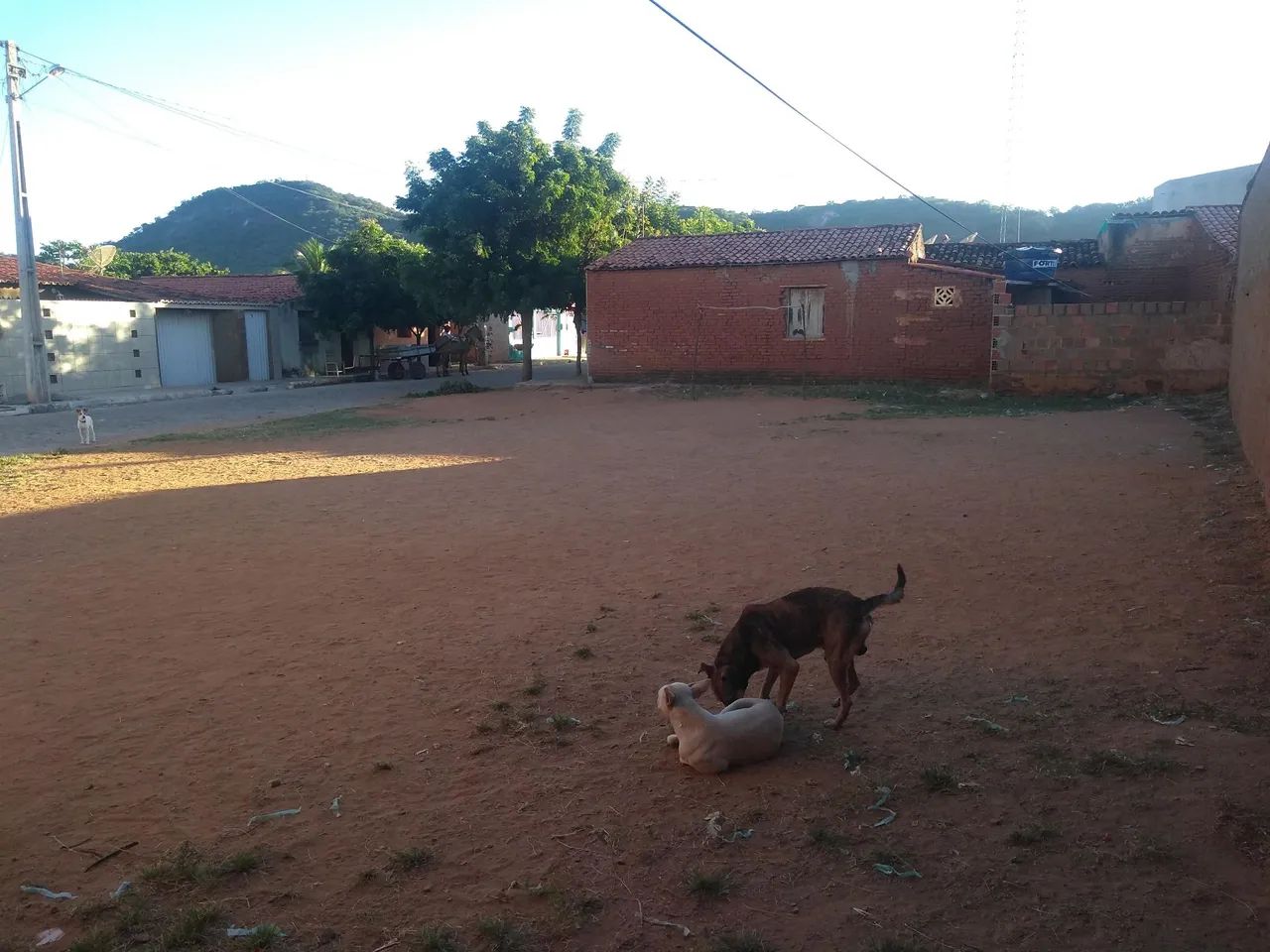 foto - Osasco - Baronesa