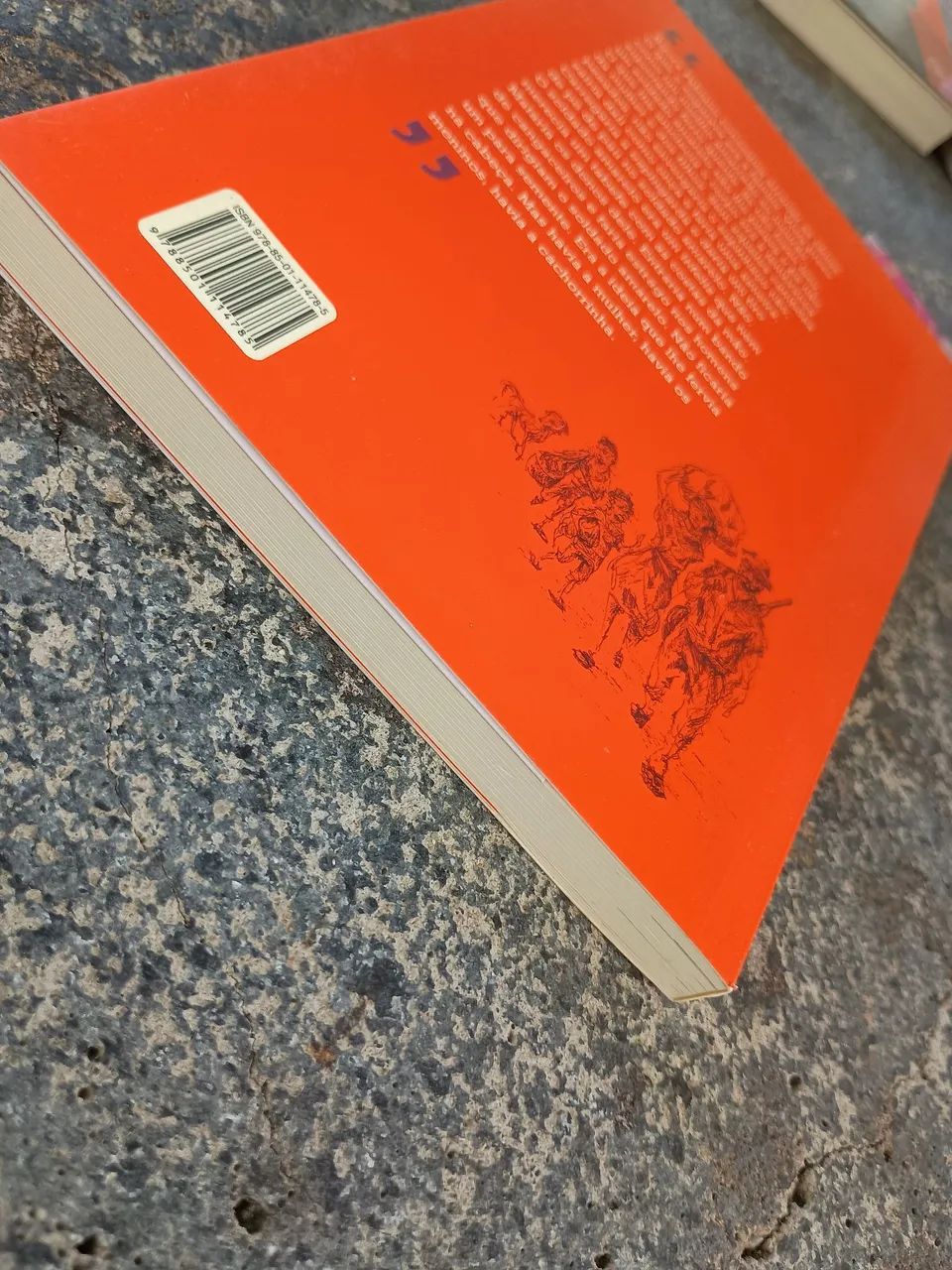 Livro vidas secas de Graciliano Ramos  - Foto 4