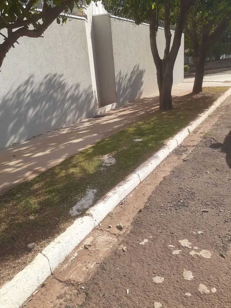 Jardineiro   - Foto 4