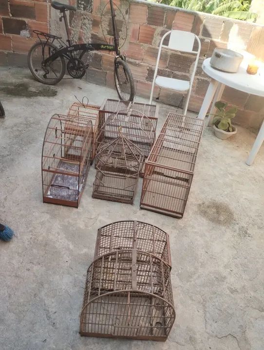 Lote gaiola barato  - Foto 2