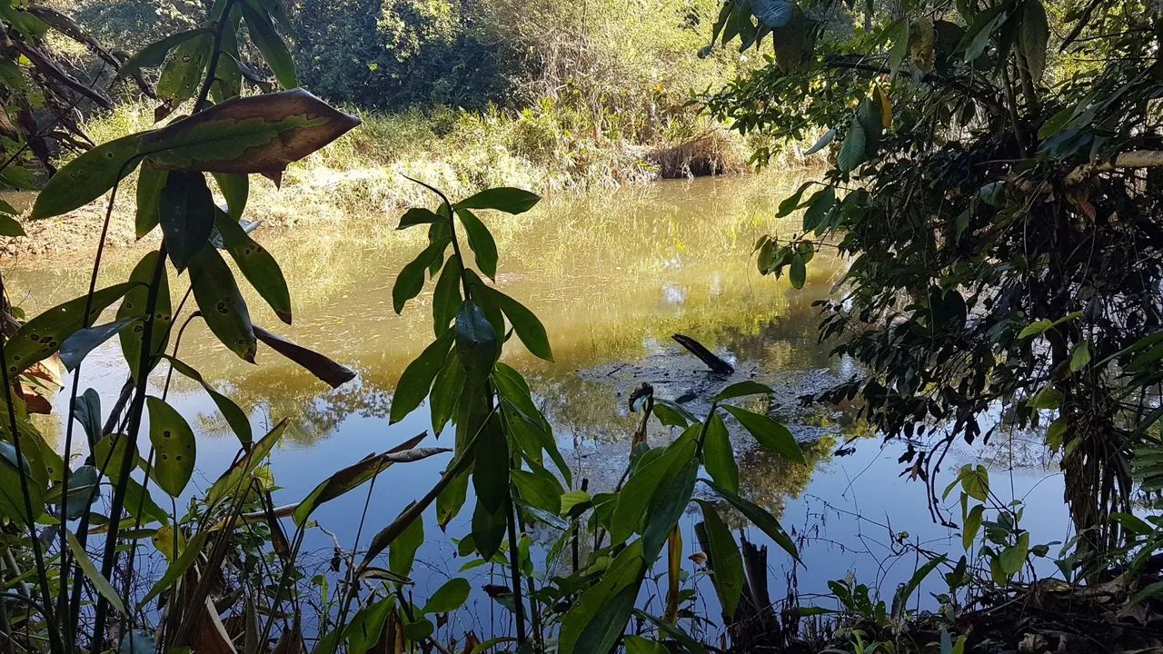 Terreno para formar Chácara  - Foto 2
