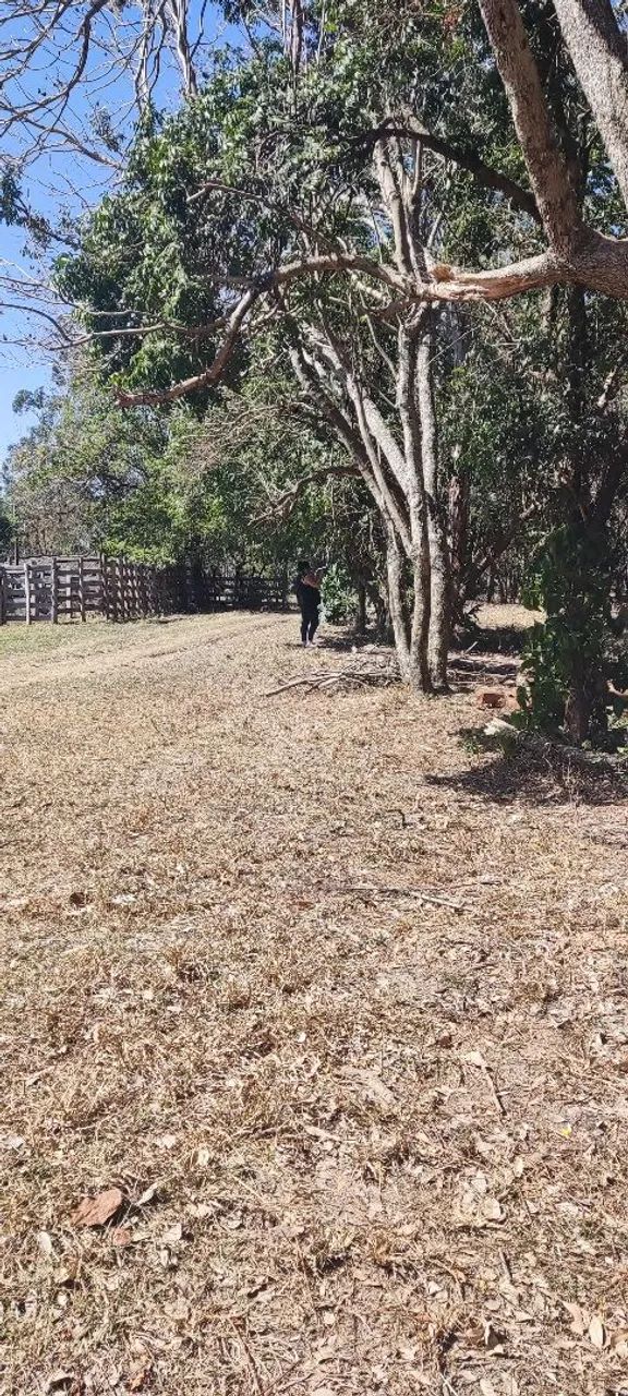 Foto - Campinas - Vila Antônio Francisco