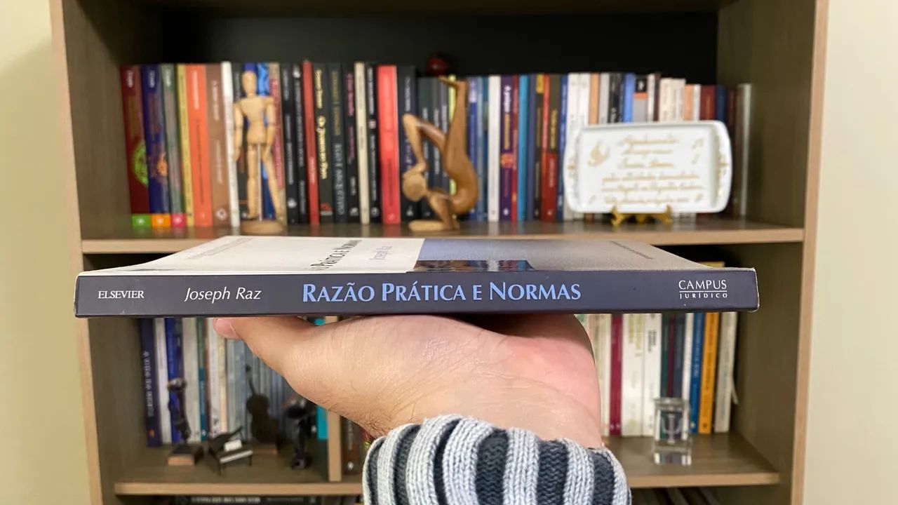 RARO Razão Prática e Normas - Joseph Raz - Foto 3